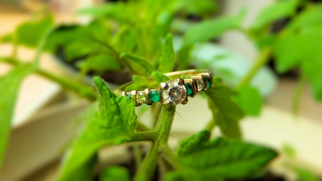 Emerald for May Goodman's Jewelers