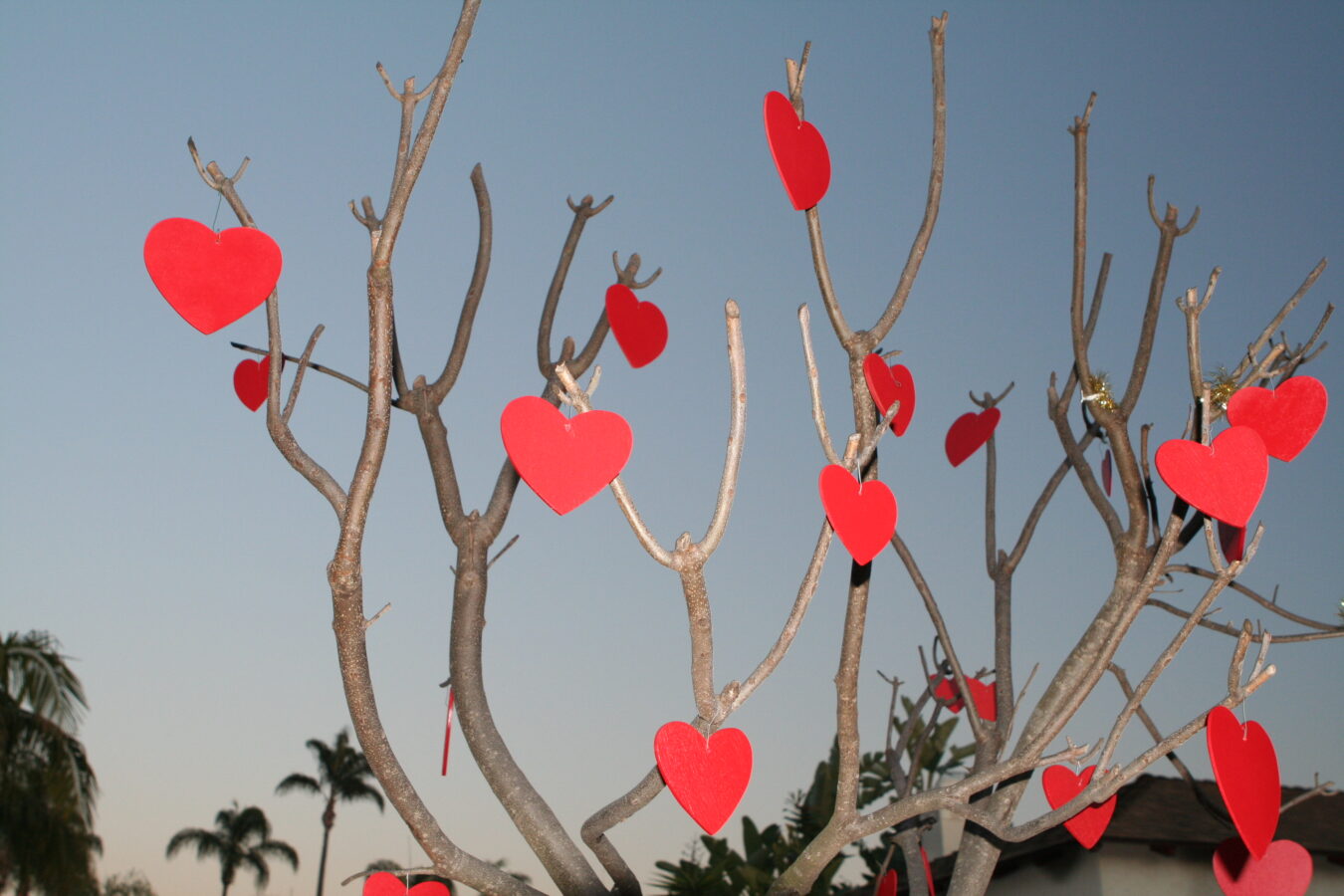 Image for The Great Day of Love-Valentine’s!