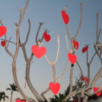 The Great Day of Love-Valentine’s!